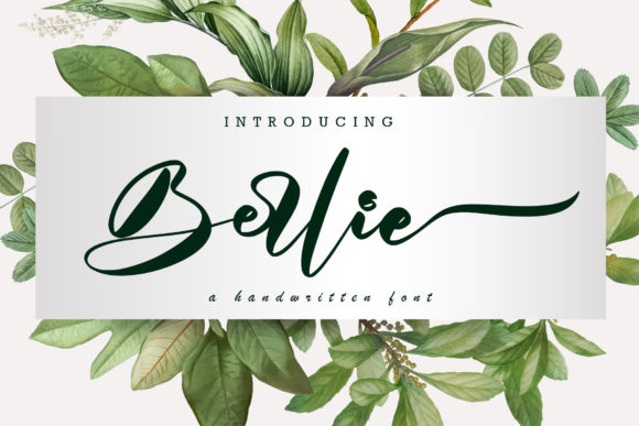 Berlie: A Handwritten Script Font That Elevates Campaign Visuals