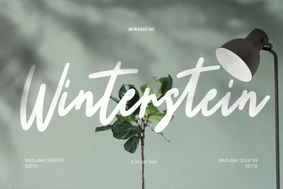 How Choosing the Winterstein Font Transformed My Small Business Branding